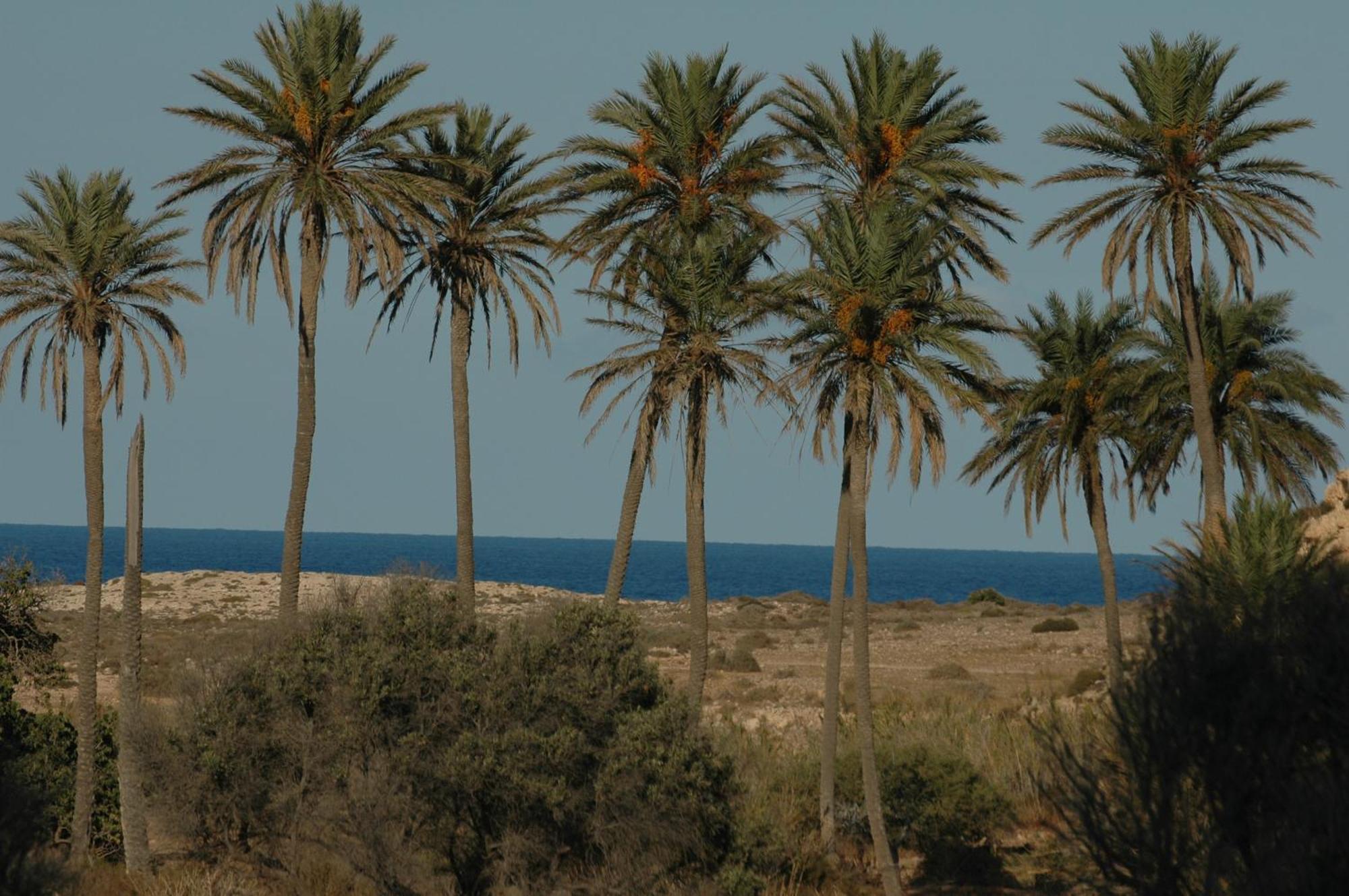 מלון רודאלקילאר Complejo La Ermita מראה חיצוני תמונה